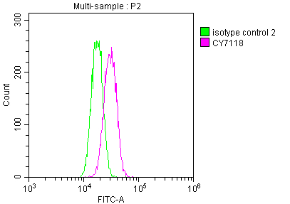 SKP2 Antibody