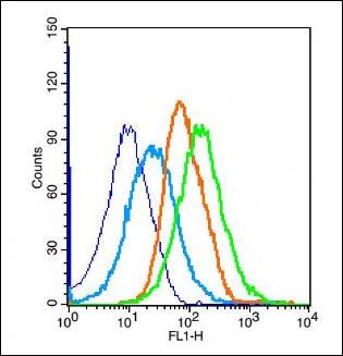 Smac Rabbit Polyclonal Antibody