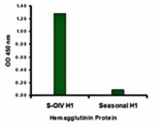 Swine H1N1 Hemagglutinin Antibody