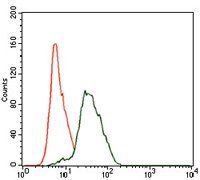 TWF1 Antibody