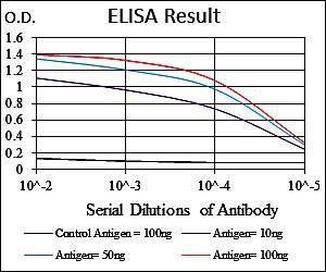 UBB Antibody