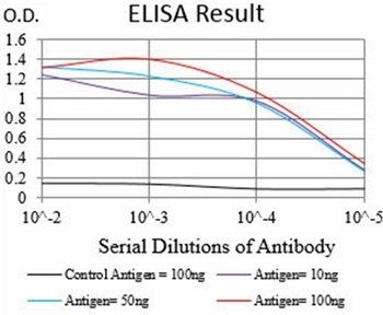 VTN Antibody