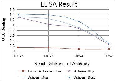 XRCC5 Antibody