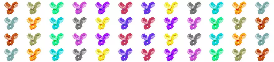 Recombinant Antibodies