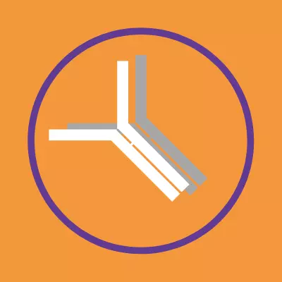 How to Choose the Best Secondary Antibody