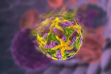 Destruction of Zika Virus